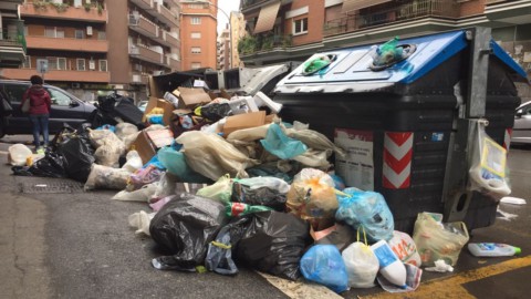 Roma, emergenza rifiuti: Raggi al voto tra topi, cinghiali e gabbiani