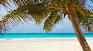 Spiaggia tropicale, mare, Caraibi, paradisi fiscali
