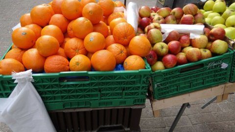 Ortofrutta, cala l’export: appello al Governo