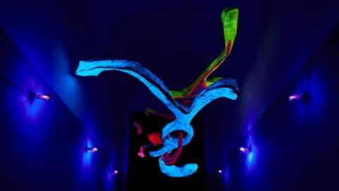 倍耐力 HangarBicocca 展示“Lucio Fontana 和太空”