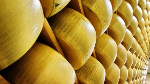 Parmigiano Reggiano: Lactalis compra Nuova Castelli