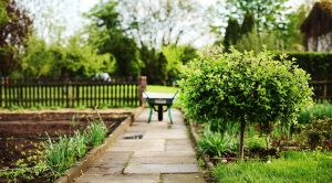 Giardino per bonus verde