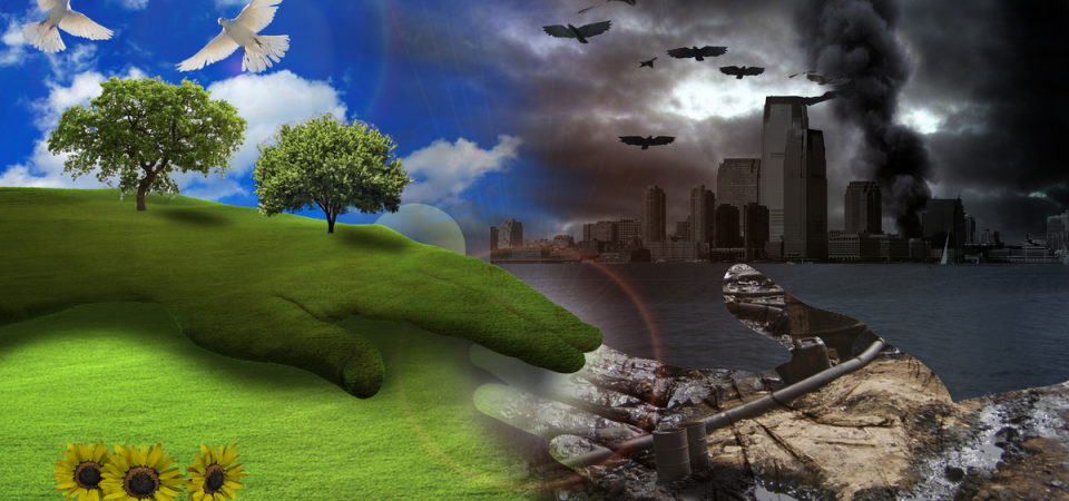 Rappresentazione per ambiente ed ecologia
