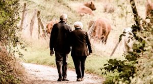 pensionati ritirati in campagna