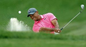 Il campione di golf Tiger Woods