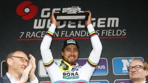 Sagan hits Ghent-Wevelgem: he's the favorite for Flanders