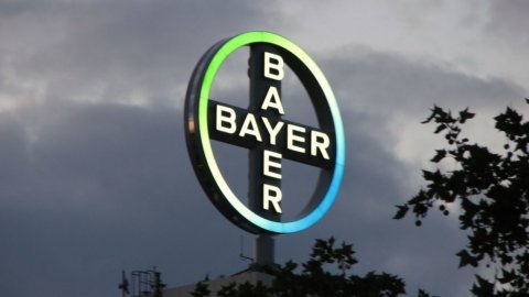 Bayer crolla in Borsa dopo la maxi-condanna a Monsanto