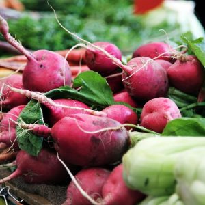 Marte, Italian project on the first cultivable vegetables