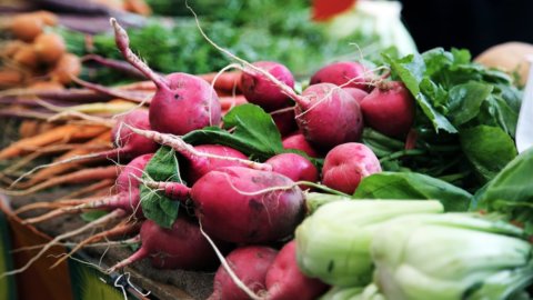 Marte, projet italien sur les premiers légumes cultivables