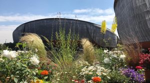 L'Auditorium Parco della Musica di Roma