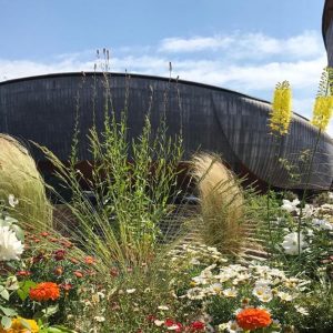 Rome, the Green and Landscape Festival at the Auditorium