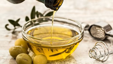 Producción de aceite de oliva: Italia se recupera, España se ralentiza