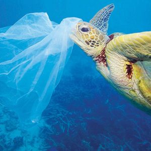 Cdp aderisce alla Clean Oceans Initiative: 2 miliardi per la pulizia dei mari