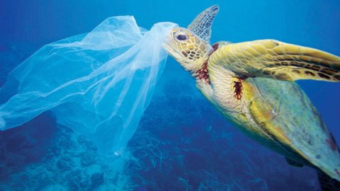 Mediterraneo: un tuffo nei rifiuti di plastica