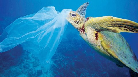 Lotta alla plastica: via a Parigi al vertice per un trattato mondiale. Cresce il giro d’affari illegale