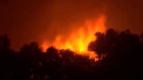 Grèce, feu de l'enfer autour d'Athènes : morts et blessés, aide de l'Europe