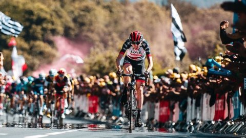 Tour : Martin domine le Mur, Nibali est là, Froome perd 5"