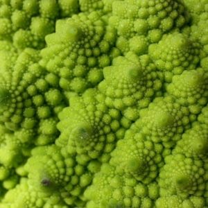 I broccoli, piatto povero ma miniera di vitamine e altre virtù