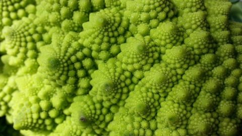 I broccoli, piatto povero ma miniera di vitamine e altre virtù