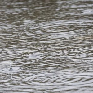 天気: 悪天候がぶり返すが、暑さは続く