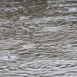شمالی اٹلی میں خراب موسم: میلان میں طوفان، سیویسو سیلاب۔ جھیل کومو کی حد میں، موسی نے وینس کو بچا لیا۔