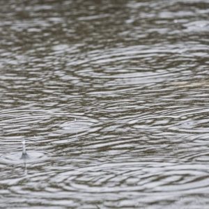 Maltempo: allerta meteo in sei Regioni, martedì tregua