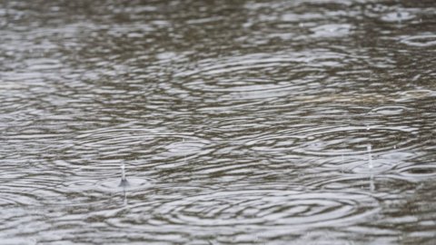 Maltempo: allarme per Po e Tevere, vortice ciclonico fino a lunedì