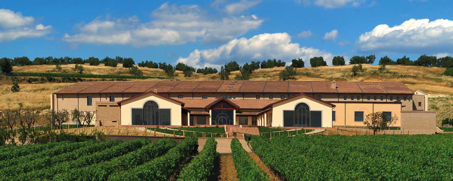 Falesco winery