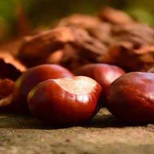 Chestnut baik untuk orang tua, olahragawan, dan celiac