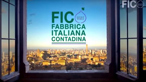 Fico Eataly World a un an : tous les chiffres et les événements programmés