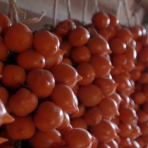 O tomate Piennolo, o ouro do Vesúvio