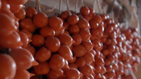 Piennolo domatesi, Vezüv'ün altını