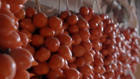 O tomate Piennolo, o ouro do Vesúvio