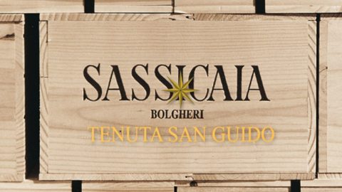 Sassicaia San Guido 2015: cel mai bun vin din lume în clasamentul Winespectator