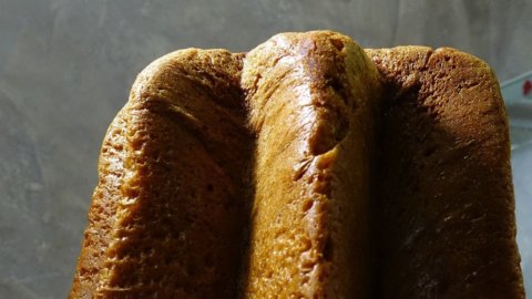 Melegatti, pandoro mais pas que : voici comment il va être relancé