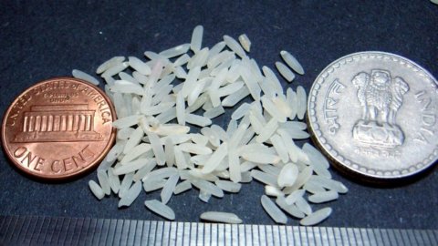 Riso, l’Ue dà ragione all’Italia: “Dazi su Birmania e Cambogia”