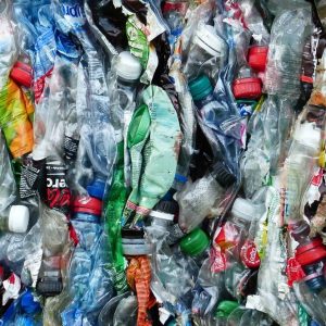 Terna bandisce la plastica dagli uffici: al via il piano “plastic free”