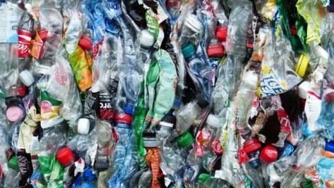 Terna bans plastic from offices: the "plastic free" plan is underway