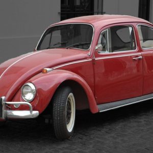 Goodbye Beetle: produção será interrompida em 2019