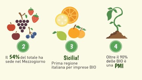 „Bio” crește pe mesele italiene: în 9 luni +4.500 de ferme cu certificare organică