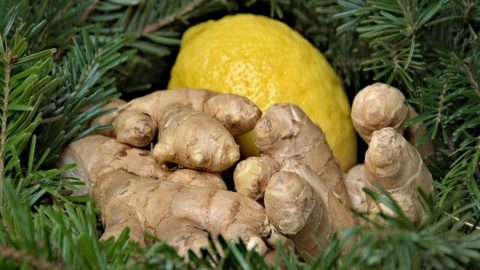 Ingwer: Wurzel mit tausend Tugenden, die jung hält