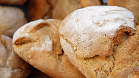 Bread is no longer thrown away: there is a reuse machine