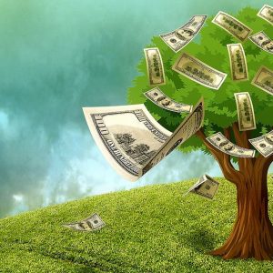 Greenwashing e finanza: l’Ispra crea una task force per fare chiarezza sugli investimenti verdi