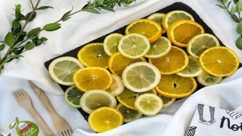 Gençlik ve sağlık arasında limon ve bergamot: Citrus'un yeniliği