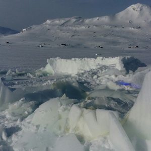 地球温暖化は芸術を破壊する：これがその方法です