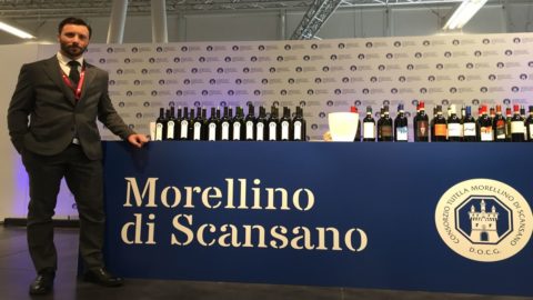 Morellino di Scansano：现在的重点是国外市场