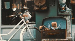 Bicicletta vintage e cultura popolare