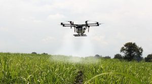 Un drone fertilizza un campo agricolo, agricoltura 4.0