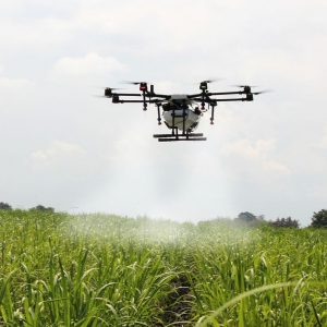 IoT rallenta in Italia, ma vola l’agricoltura smart