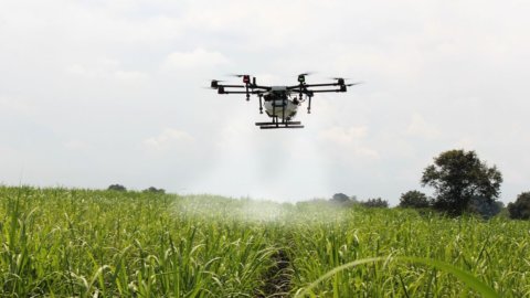 Agricoltura e rinnovabili: alle pmi 250 milioni da Bei e Unicredit